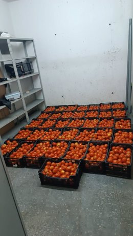 La campaña contra la venta ambulante se salda con la incautación 603 kilos de frutas y verduras