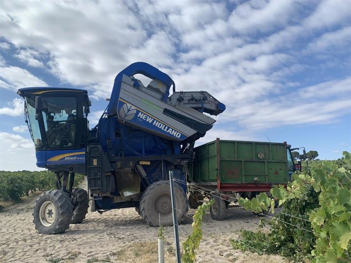Grupo Pistacyl lleva la viticultura de precisión a cerca de 3.000 hectáreas de viñedos de CyL y otras CCAA