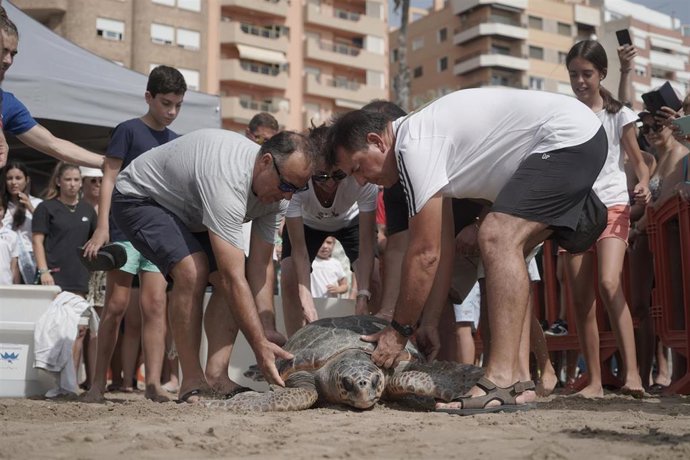 La Fundación Oceanogrfic y la Cofradía de Pescadores de Benicarló devuelven al mar tres tortugas recuperadas