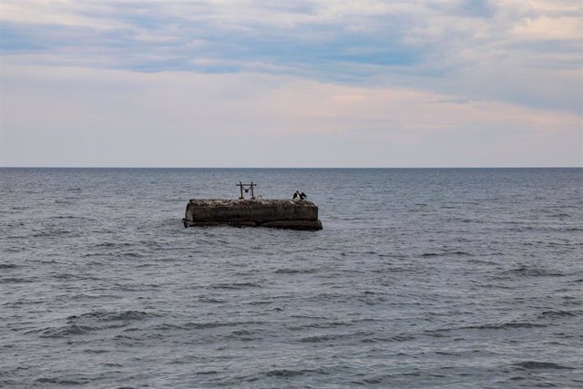 Un pájaro en el mar Negro cerca de Odesa (Archivo)