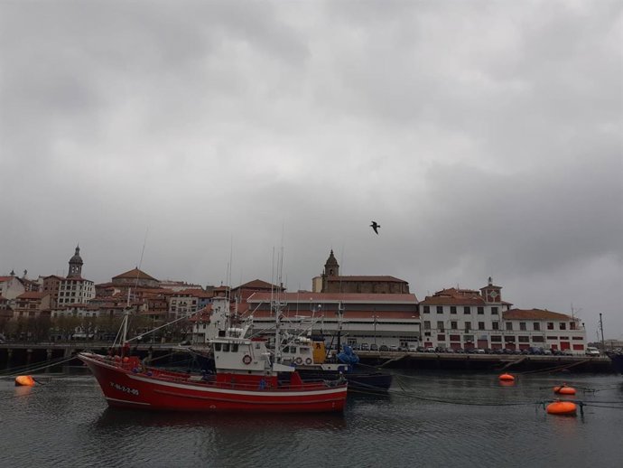 Archivo - Puerto de Bermeo (Bizkaia)