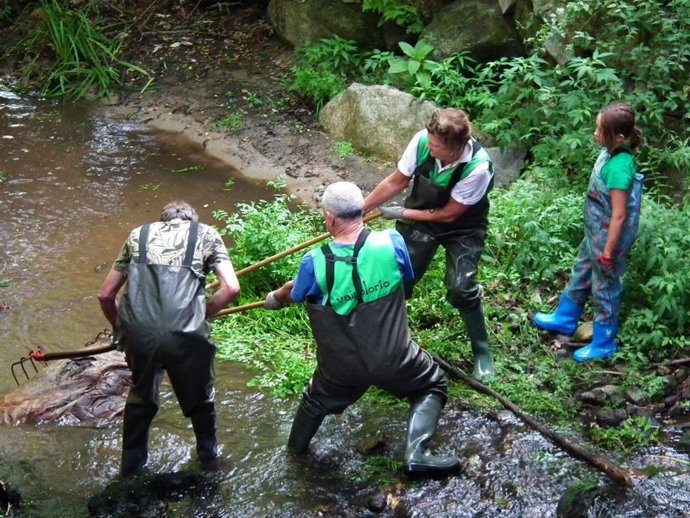 Vaipolorío culmina su 23 campaña de limpieza del río Gafos (Pontevedra) tras retirar más de 1,5 kilos de residuos