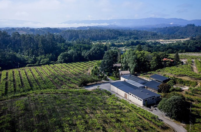 Archivo - Vista aérea de las placas solares instaladas en Bodegas Fillaboa, en Salvaterra de Miño (pontevedra)