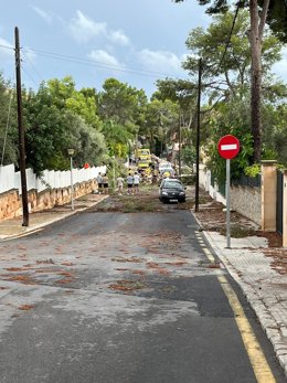 Una calle de Calvi tras el paso del temporal.