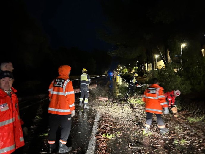 El temporal del domingo deja una docena de incidencias en Marratxí sin daños personales