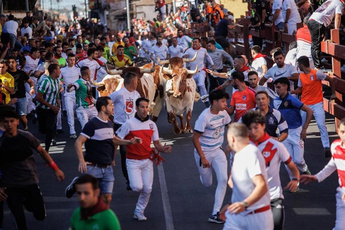 Varios corredores durante el primer encierro de las fiestas de San Sebastián de los Reyes, a 28 de agosto de 2023, en San Sebastián de los Reyes, Madrid (España). 