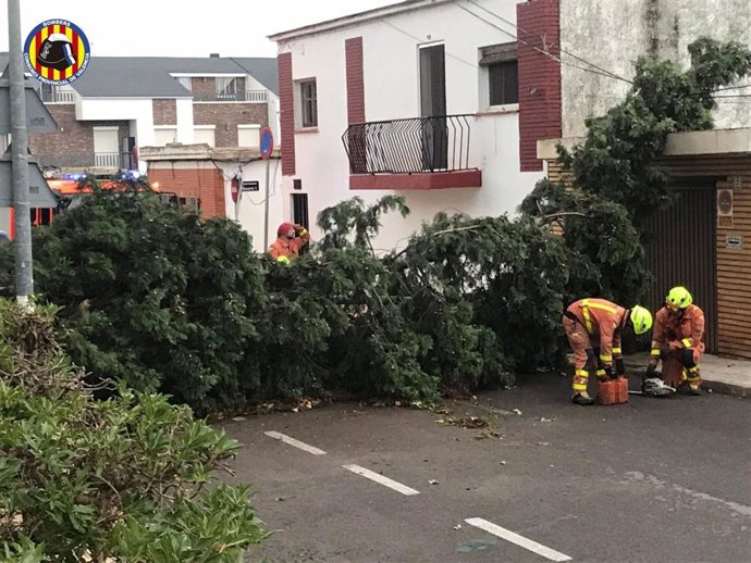 Árbol caído en l'Eliana