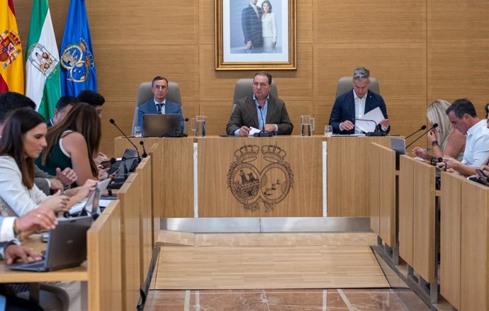 Pleno extraordinario de Diputación de Huelva.