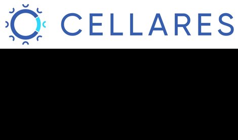 Comunicados Internacional