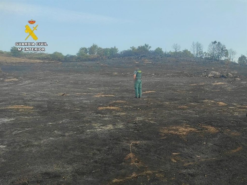 Investigación de un incendio forestal en Jaraíz de la Vera en julio de 2023