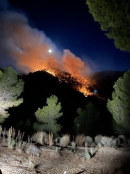 Incendio forestal en Valle Perdido, Murcia