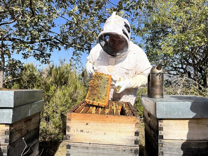 Apicultor