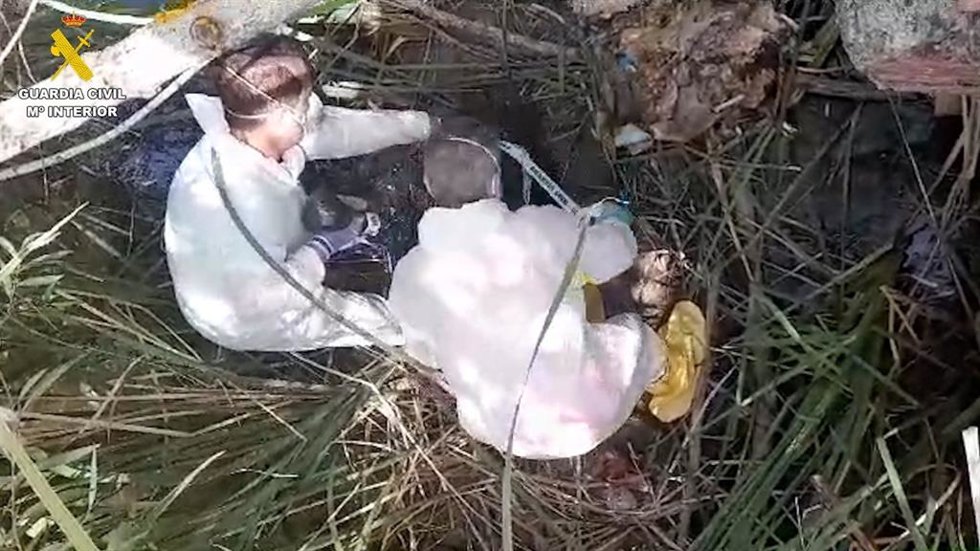 La Guardia Civil investiga a un hombre por un delito de maltrato animal en Valdetorres del Jarama