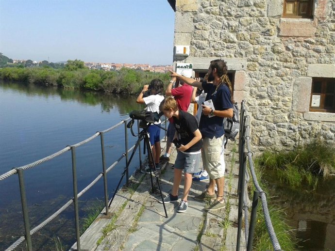 La educación al aire libre en edades tempranas mejora el estrés emocional y el rendimiento académico, según un estudio
