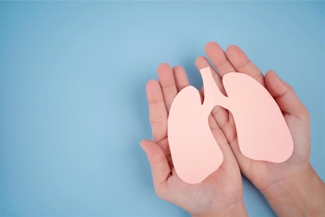 Archivo - Pulmones