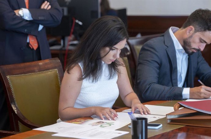 La nueva portavoz de Vox en el Congreso, Pepa Millán, presentando sus credenciales 