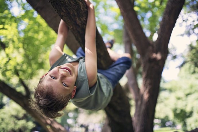 Archivo - Niño trepando a un árbol.