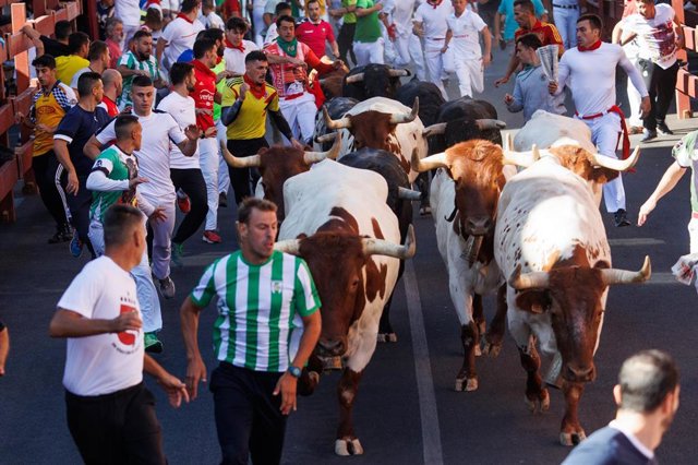 Segundo encierro de 'Sanse'