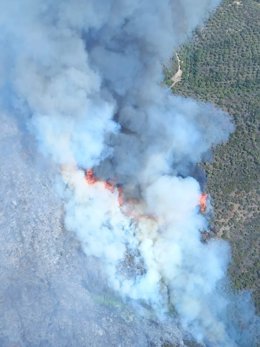 Incendio en un paraje de Lora del Río.