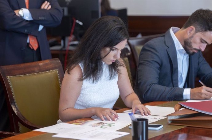 La nova portaveu de Vox al Congrés, Pepa Millán, presentant les seves credencials 