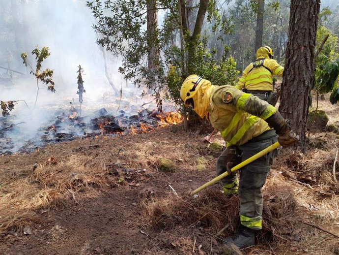 Agentes forestales en el incendio de Tenerife
