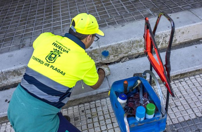 Un operario del Servicio de Plagas del Ayuntamiento de Huelva.