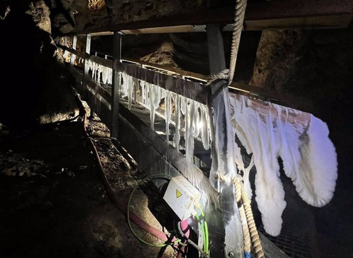 Imagen actual de los hongos de las escaleras de la Cueva del Yeso de Baena.