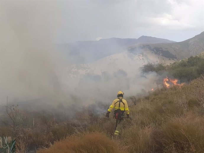 Imagen de un incendio en Güéjar Sierra