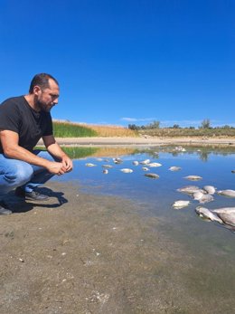 El coordinador provincial de IU Córdoba, Sebastián Pérez, junto a los peces muertos en La Colada.