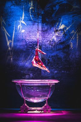 Circo acrobático de China