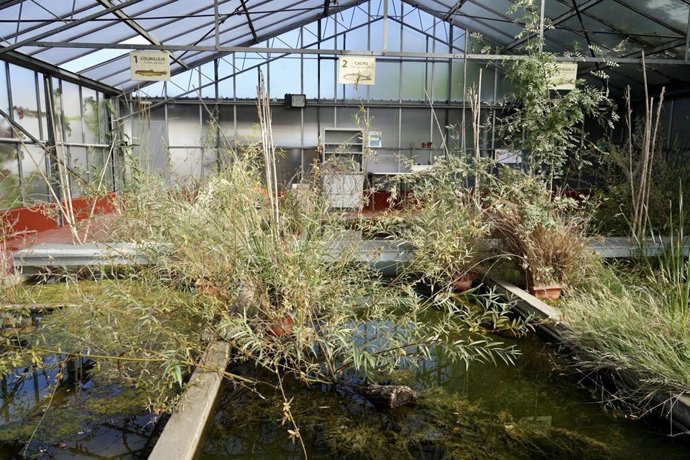 Estanques de la Estación Regeneradora de Aguas Residuales (ERAR) de Viveros de la Villa