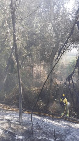 Incendio forestal cerca de la estación del tren de Hornachuelos.