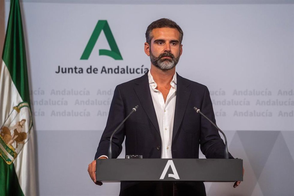 El consejero de Sostenibilidad, Medio Ambiente y Economía Azul y portavoz del Gobierno, Ramón Fernández-Pacheco, durante una rueda de prensa en el Palacio de San Telmo. (Foto de archivo).