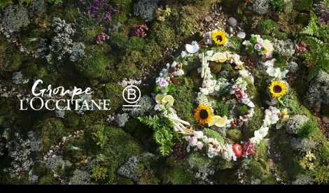 Comunicados Internacional