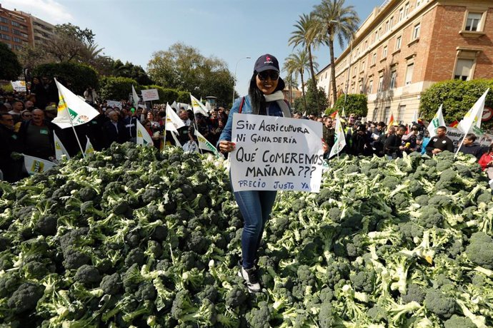 Archivo - Una de las participantes de la manifestación convocada por agricultores y ganaderos con una pancarta donde se puede leer "Sin agricultura ni ganadería, ¿Qué comeremos mañana?" en Murcia (España),  