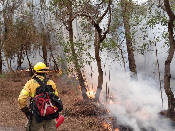 Agentes forestales trabajan en el incendio de Tenerife