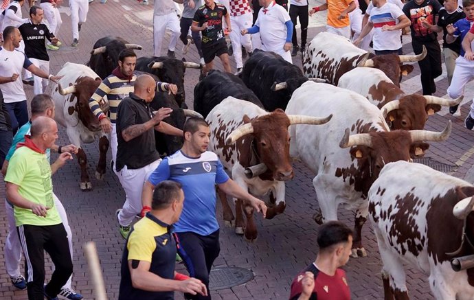 Corredores participando en el quinto encierro de las fiestas del Cristo de los Remedios de San Sebastián de los Reyes