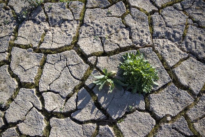 Archivo - Imágenes de la sequía en un pantano de España.