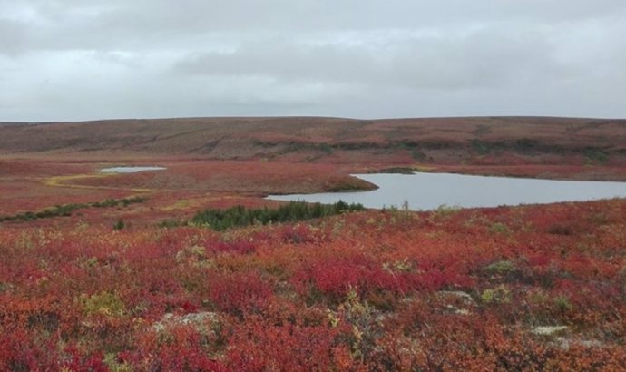 Paisaje de tundra de tierras altas cerca de Inuvik, Ártico canadiense occidental.