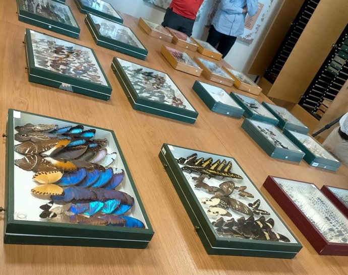 El Centro Entomológico Manuel Ortego