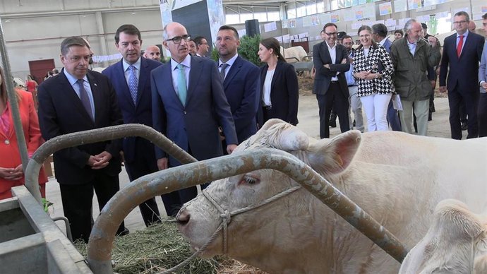 Vídeo de la noticia