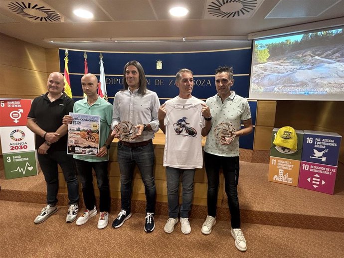 La presentación ha tenido lugar en la sala de prensa de la DPZ