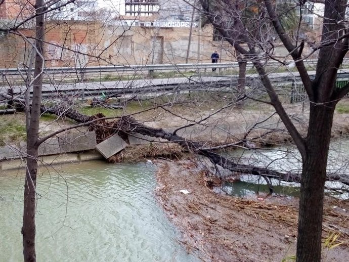 Archivo - Un árbol caído en Zaragoza por el viento