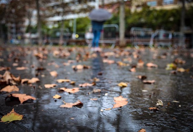 Archivo - Arxiu - Diverses fulles al terra a causa de la pluja, a 17 de gener de 2023, a Barcelona, Catalunya (Espanya)