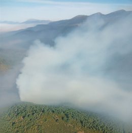 Incendio de nivel 1 que afecta una zona del Parque Regional Montaña de Riaño y Mampodre en la localidad de Villafrea de la Reina (León).