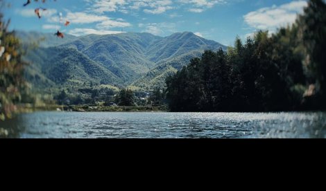 Comunicados Internacional