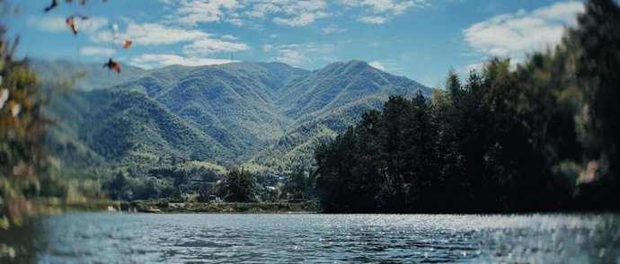 Image_5023691_20270675