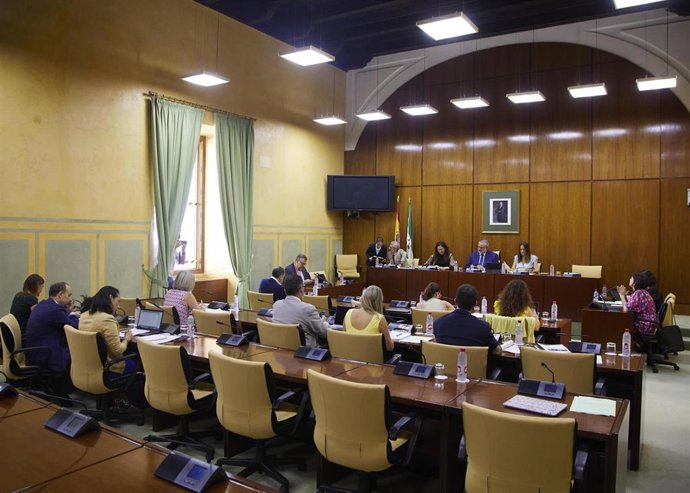 Archivo - Sesión de la comisión de Inclusión Social, Juventud, Familias e Igualdad del Parlamento andaluz. (Foto de archivo).
