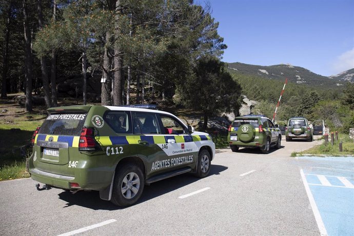 Archivo - Vehículos de Agentes Forestales 