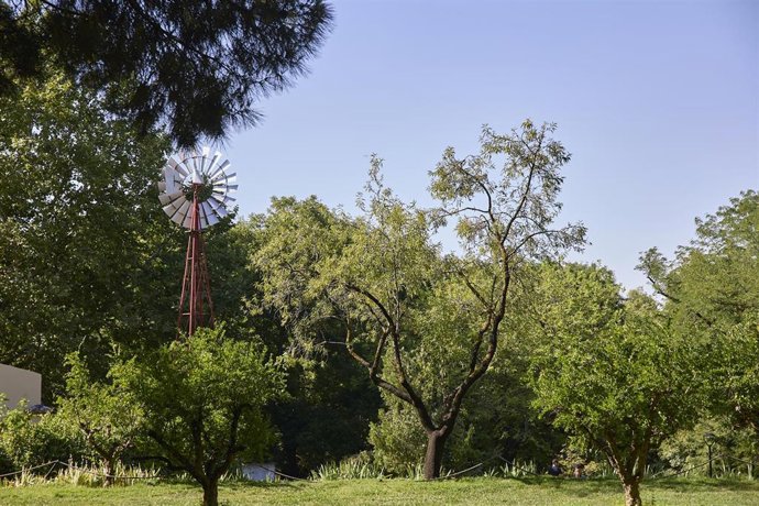 Archivo - Aviso amarillo por viento fuerte este domingo en la Ibérica riojana
